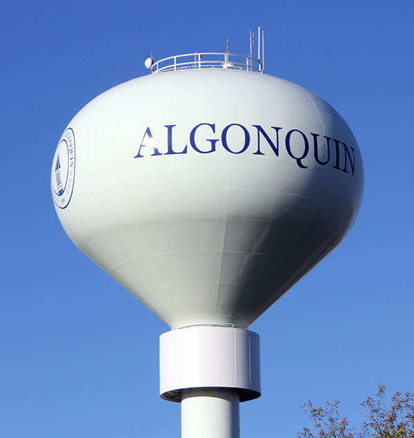 Local Plumbing Contractor in Algonquin Plumber